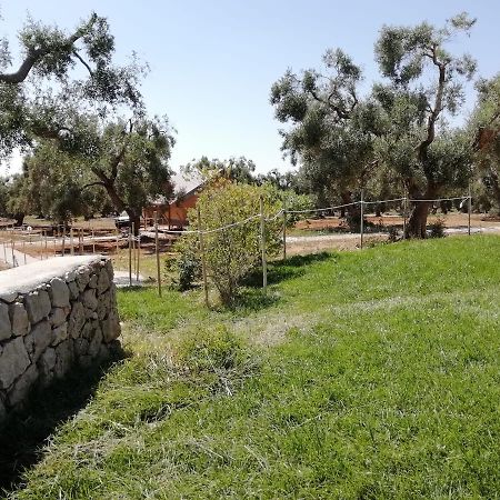 Agriturismo Marconi Porto Cesareo Eksteriør billede